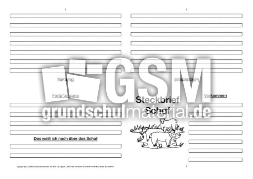 Schaf-Faltbuch-vierseitig-2.pdf